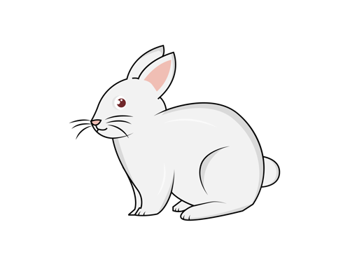 Picture of Rabbit