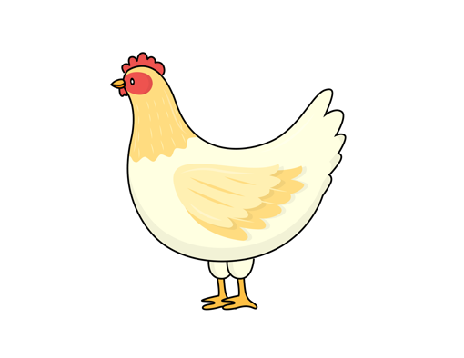Picture of Chicken - 0.5 - 1kg